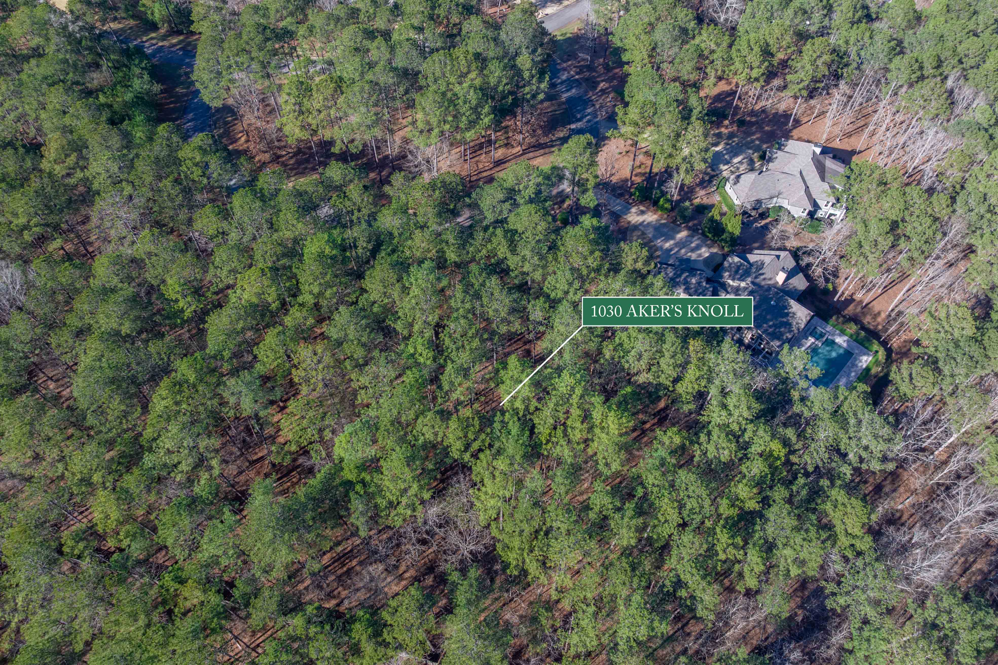 1030 Aker's Knoll image 13